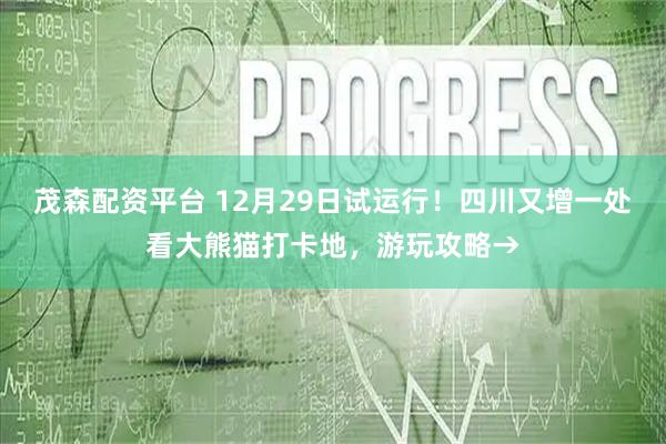 茂森配资平台 12月29日试运行！四川又增一处看大熊猫打卡地，游玩攻略→